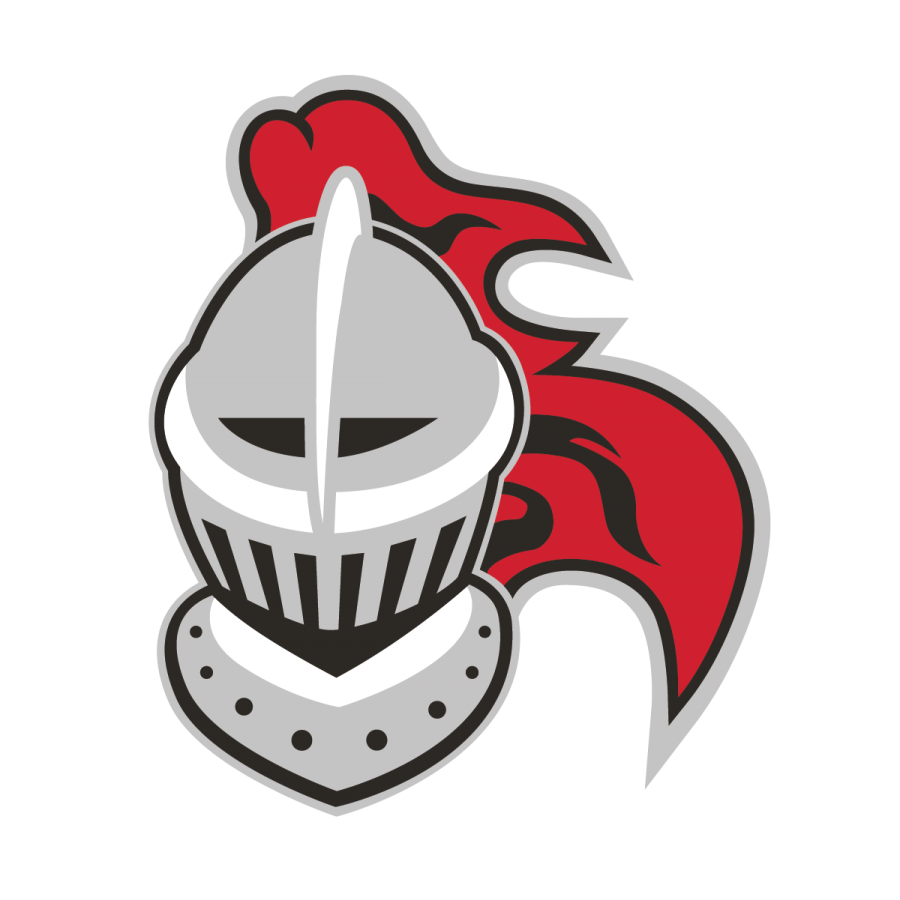 Helmet logo